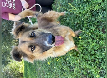 kleiner Zwerg Dennis sucht warmes Körbchen