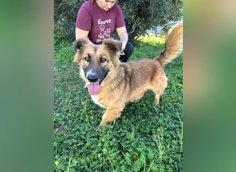 kleiner Zwerg Dennis sucht warmes Körbchen