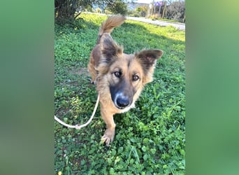 kleiner Zwerg Dennis sucht warmes Körbchen