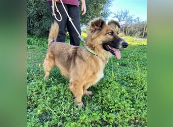 kleiner Zwerg Dennis sucht warmes Körbchen