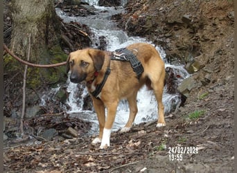 Sira wartet auf ihr Happy End