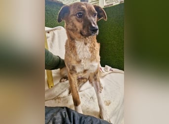 Hope – zarte Seele auf der Suche nach ihrem Glück