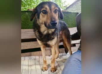 Susa, sie bettelt hinter Gittern um Liebe...