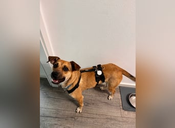 Süße Marny sucht ihr Für-Immer-Zuhause