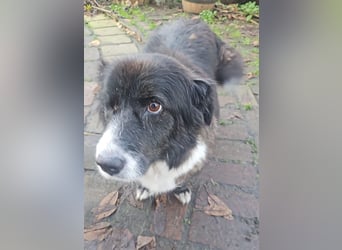 Gnadenplatz für Max gesucht