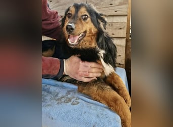 Junger Traumbursche Larry