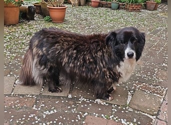 Gnadenplatz für Max gesucht