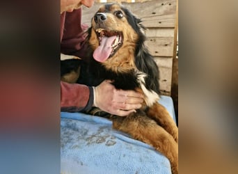 Junger Traumbursche Larry