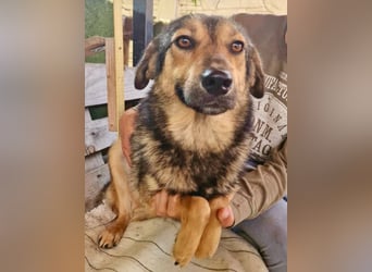 Susa, sie bettelt hinter Gittern um Liebe...