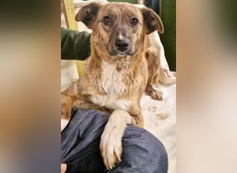 Hope – zarte Seele auf der Suche nach ihrem Glück
