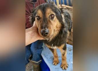 Junger Traumbursche Larry