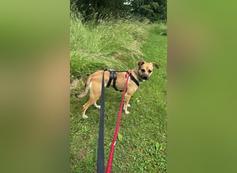 Süße Marny sucht ihr Für-Immer-Zuhause