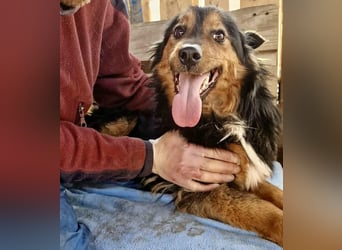 Junger Traumbursche Larry