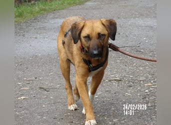 Sira wartet auf ihr Happy End