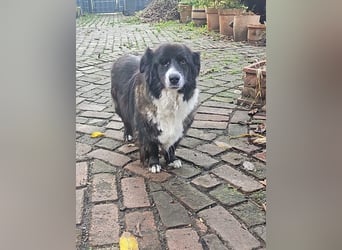 Gnadenplatz für Max gesucht