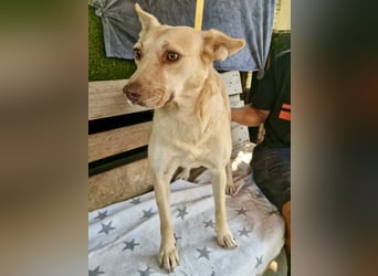 Delia, sanfte Schönheit sucht ihre Familie