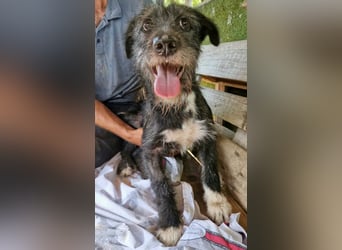 Luna sucht einen Ort zum Ankommen