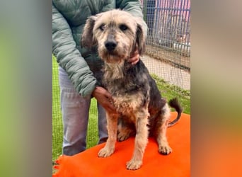 Candy – sanfte Schmusemaus sucht ihr Happy End