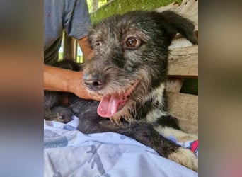 Luna sucht einen Ort zum Ankommen