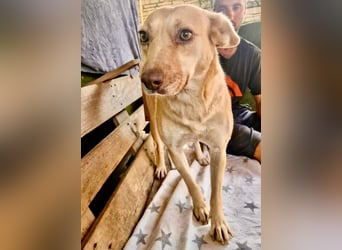 Delia, sanfte Schönheit sucht ihre Familie
