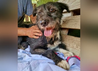 Luna sucht einen Ort zum Ankommen