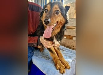 Junger Traumbursche Larry