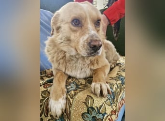 Trauriger Hugo sucht seine Familie