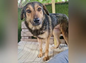 Susa, sie bettelt hinter Gittern um Liebe...