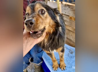 Junger Traumbursche Larry