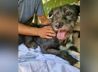Luna sucht einen Ort zum Ankommen