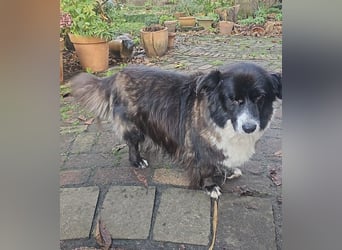 Gnadenplatz für Max gesucht