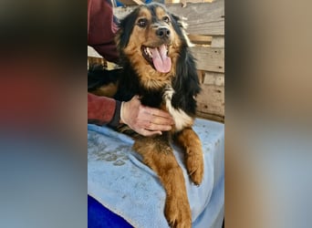 Junger Traumbursche Larry