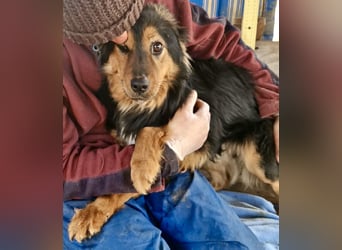 Junger Traumbursche Larry