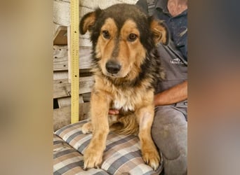 Scotty sucht Menschen, die ihm zeigen, dass Vertrauen sich lohnt