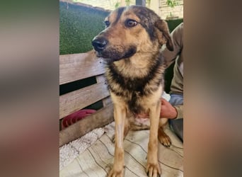 Susa, sie bettelt hinter Gittern um Liebe...