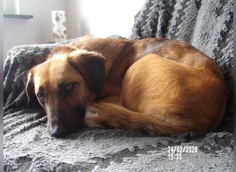 Sira wartet auf ihr Happy End