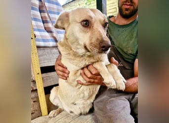 Delia, sanfte Schönheit sucht ihre Familie