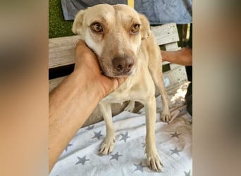 Delia, sanfte Schönheit sucht ihre Familie