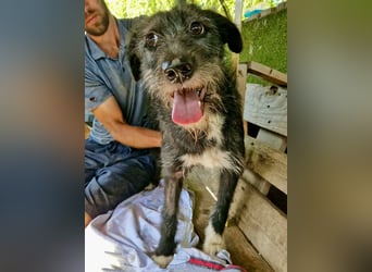 Luna sucht einen Ort zum Ankommen