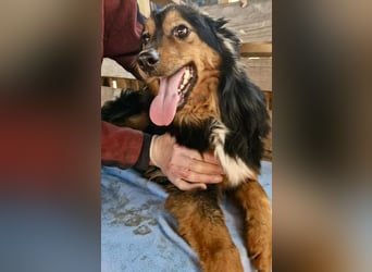 Junger Traumbursche Larry