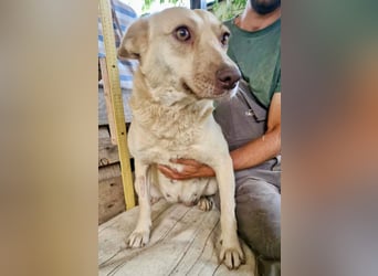 Delia, sanfte Schönheit sucht ihre Familie