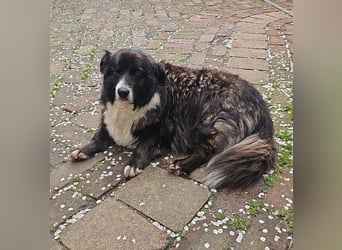 Gnadenplatz für Max gesucht