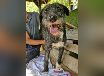 Luna sucht einen Ort zum Ankommen