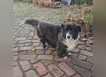 Gnadenplatz für Max gesucht