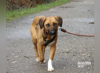 Sira wartet auf ihr Happy End