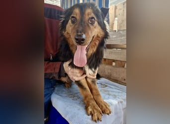 Junger Traumbursche Larry