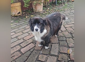 Gnadenplatz für Max gesucht