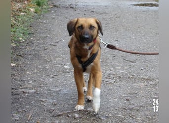 Sira wartet auf ihr Happy End