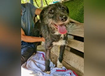 Luna sucht einen Ort zum Ankommen