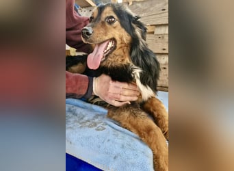 Junger Traumbursche Larry